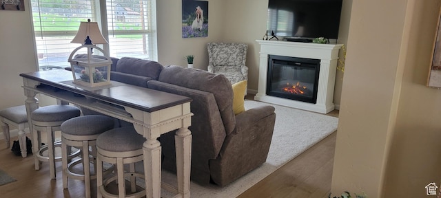 65 E 200 S, Orderville, UT 84758 - living room featuring a glass covered fireplace and wood finished floors