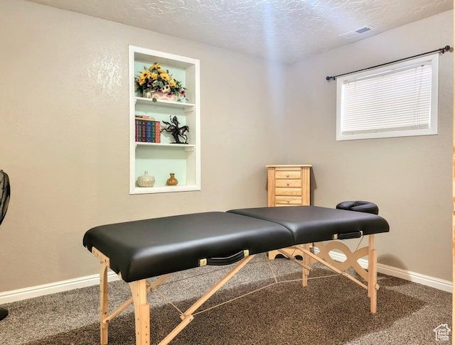 273 S 700 W, Parowan, UT 84761 - exercise area featuring carpet flooring, a textured ceiling, and baseboards