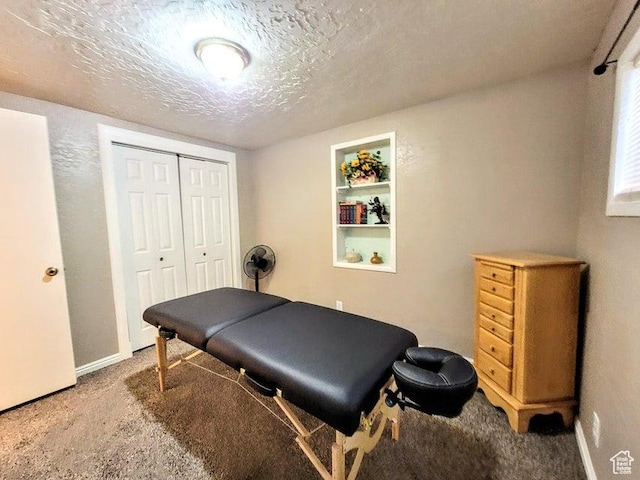 273 S 700 W, Parowan, UT 84761 - misc room featuring carpet flooring, a textured ceiling, and baseboards