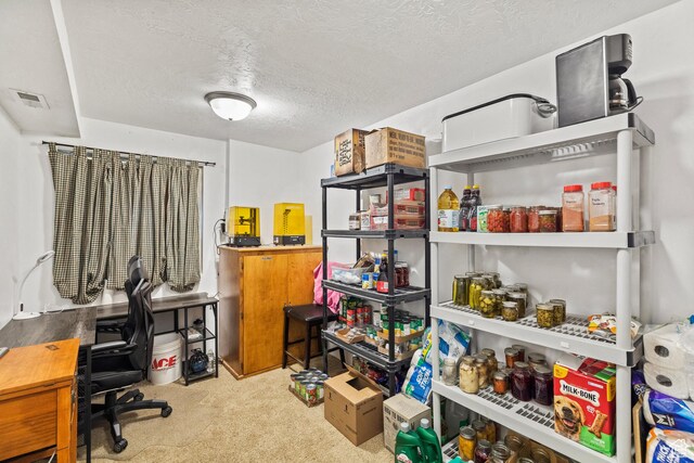78 N Peach St E, Santaquin, UT 84655 - office area with carpet and a textured ceiling