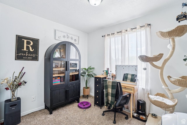 517 E Canyon View Dr N, Ogden, UT 84404 - office space with light carpet, a textured ceiling, and baseboards