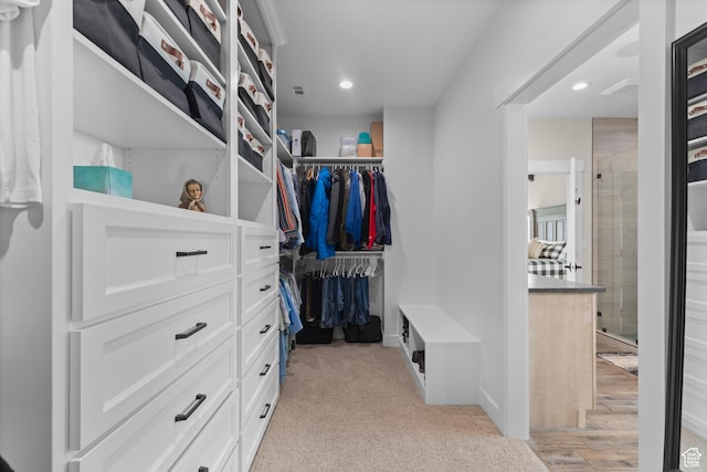 22 Old Ranch Rd, Montpelier, ID 83254 - view of walk in closet