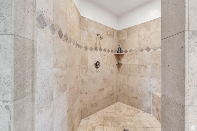 861 N 1100 E, Pleasant Grove, UT 84062 - bathroom with tiled shower