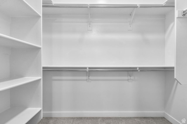 spacious closet featuring carpet