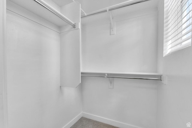 spacious closet with carpet floors