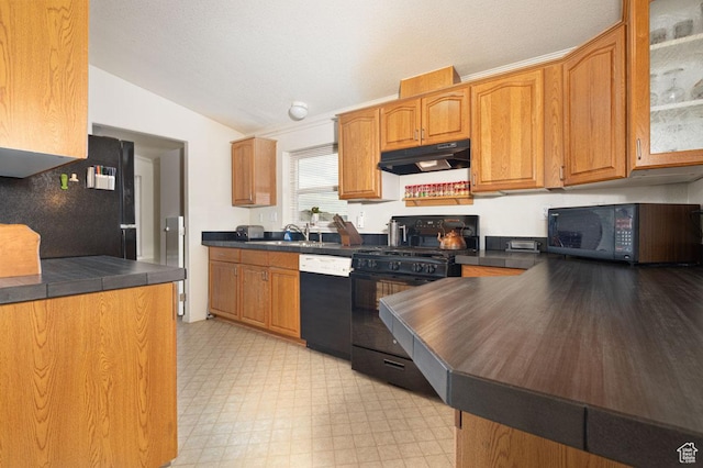 5177 W 1525 S, Cedar City, UT 84720 - kitchen with black appliances, under cabinet range hood, dark countertops, lofted ceiling, and light flooring