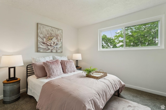 11842 S Elm Ridge Rd E, Sandy, UT 84094 - bedroom with carpet flooring, baseboards, and a textured ceiling