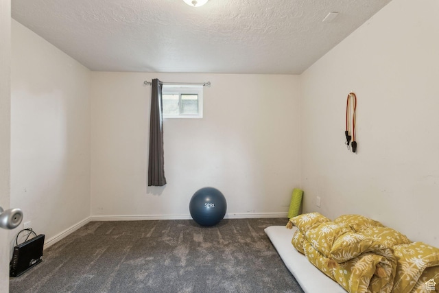 11842 S Elm Ridge Rd E, Sandy, UT 84094 - workout area with carpet, a textured ceiling, and baseboards