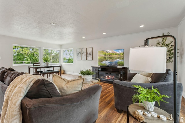 11842 S Elm Ridge Rd E, Sandy, UT 84094 - living area featuring wood finished floors, recessed lighting, a textured ceiling, and a glass covered fireplace