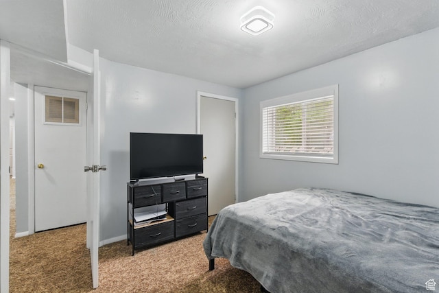 493 N 1025 W St W, Orem, UT 84057 - view of carpeted bedroom