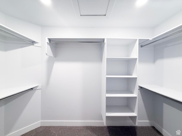5107 W Harlow Way, Herriman, UT 84096 - view of walk in closet