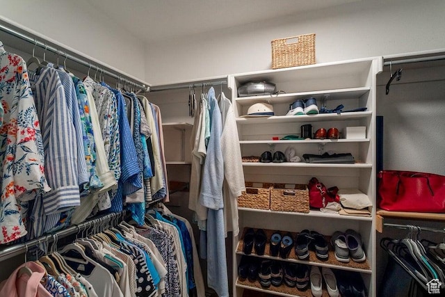 view of spacious closet