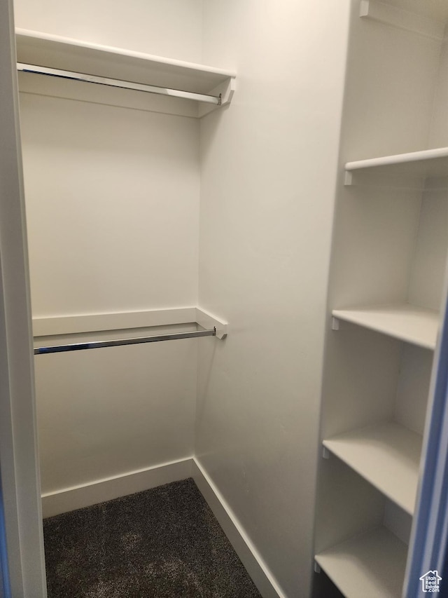 314 E 38th St, South Ogden, UT 84405 - view of walk in closet