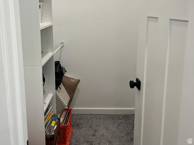 365 N 100 E, Ferron, UT 84523 - walk in closet with carpet floors