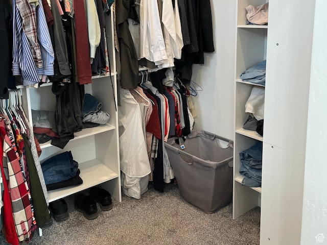 365 N 100 E, Ferron, UT 84523 - walk in closet with carpet floors