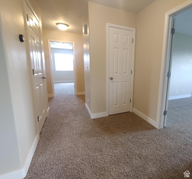 3315 E Appaloosa Way N, Eagle Mountain, UT 84005 - hallway featuring carpet and baseboards