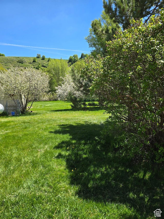 5654 E Cub Rd, Preston, ID 83263 - view of green lawn