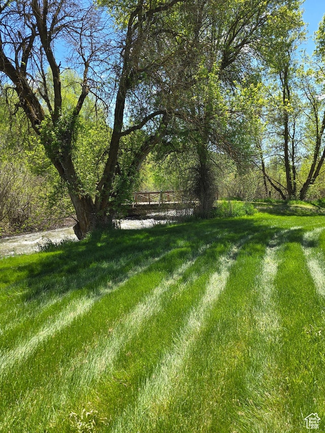 5654 E Cub Rd, Preston, ID 83263 - view of yard