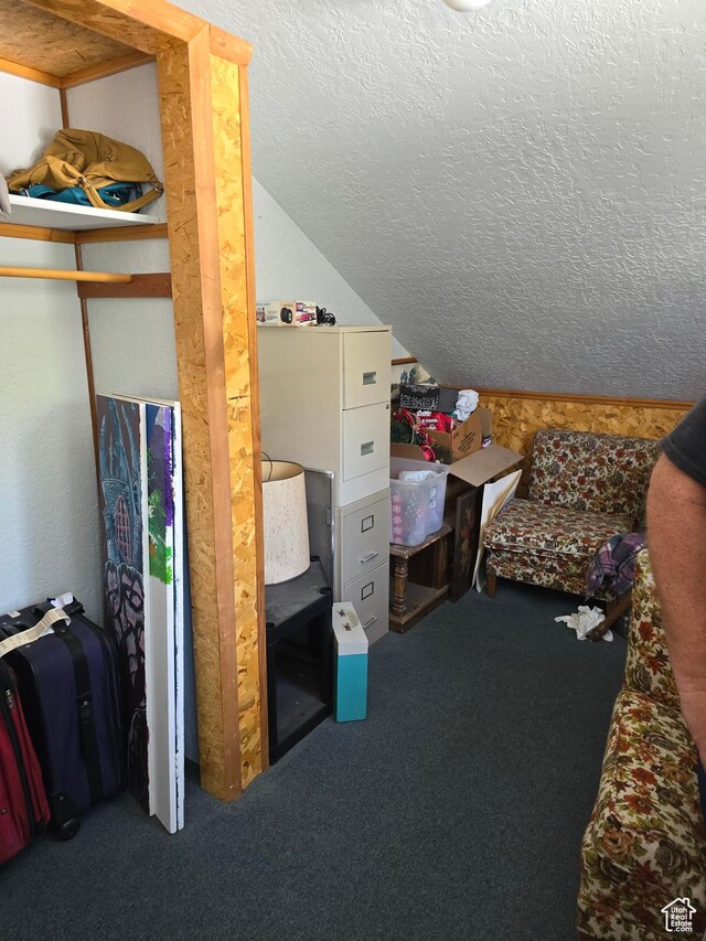 5654 E Cub Rd, Preston, ID 83263 - carpeted bedroom with a textured ceiling and vaulted ceiling