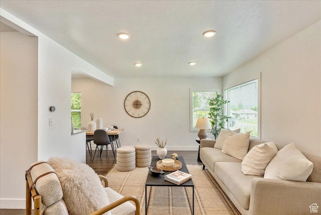 1042 E 460 S, Provo, UT 84606 - living area featuring wood finished floors, baseboards, and recessed lighting