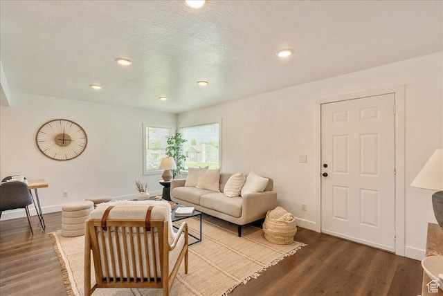 1042 E 460 S, Provo, UT 84606 - living room with wood finished floors, baseboards, recessed lighting, and a textured ceiling