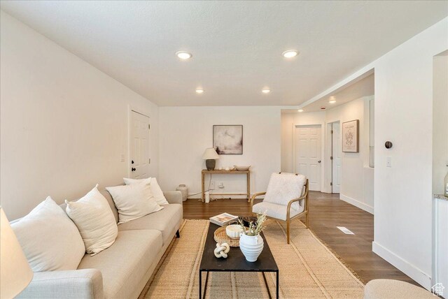 1042 E 460 S, Provo, UT 84606 - living area featuring baseboards, wood finished floors, and recessed lighting