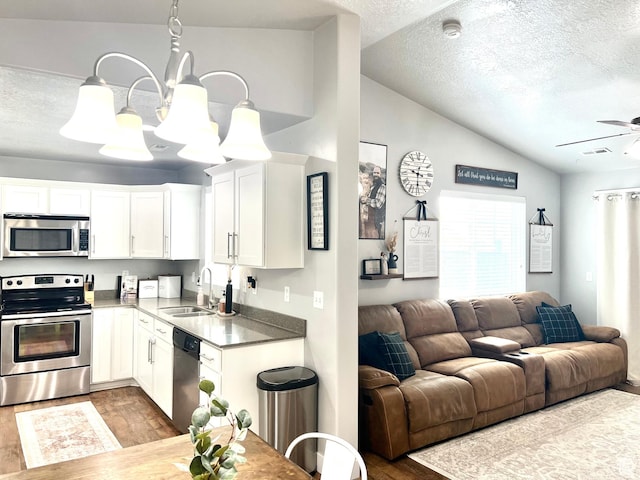 2497 W 500 S Unit 3, Springville, UT 84663 - kitchen featuring stainless steel appliances, a sink, lofted ceiling, open floor plan, and wood finished floors