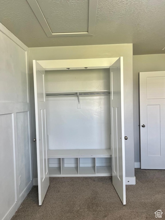 2497 W 500 S Unit 3, Springville, UT 84663 - view of closet
