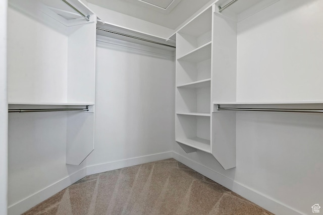 walk in closet with carpet flooring
