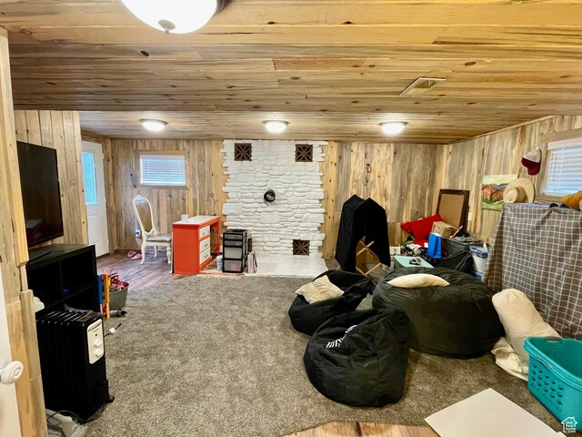 229 N 300 W, Salina, UT 84654 - living room with wooden ceiling, wood walls, and wood finished floors