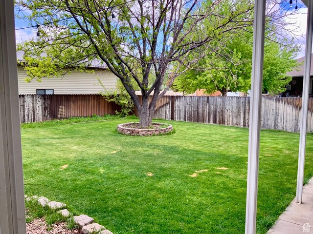 229 N 300 W, Salina, UT 84654 - view of yard