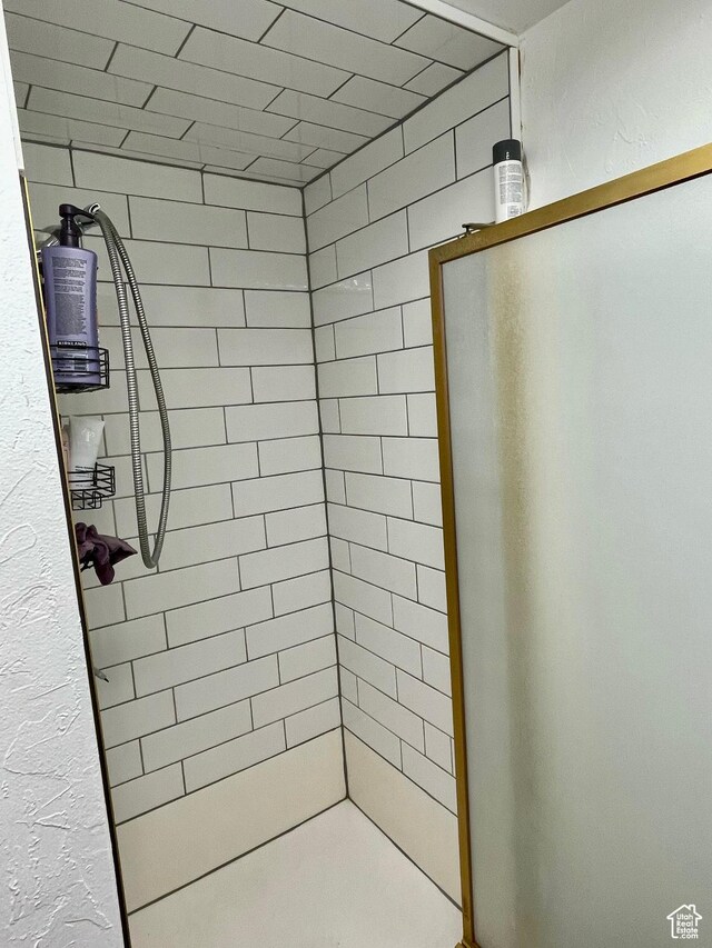 229 N 300 W, Salina, UT 84654 - full bathroom featuring a shower stall