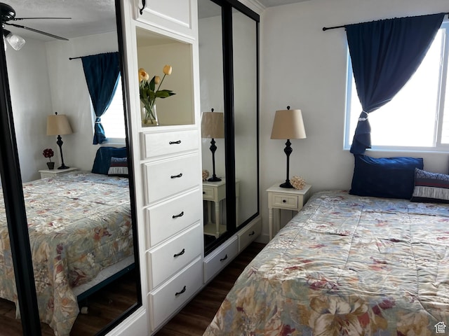 1150 W Red Hills Pkwy Unit 140, Washington, UT 84780 - bedroom with multiple windows and dark wood-style floors