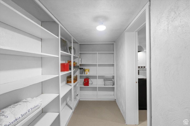 131 N 100 W, Hyrum, UT 84319 - view of storage area