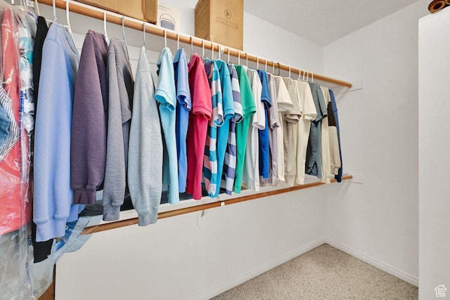 1076 E Creekside, Ogden, UT 84404 - walk in closet featuring carpet flooring