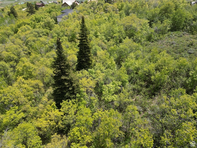 256 Juniper Dr Unit 488/89, Fish Haven, ID 83287