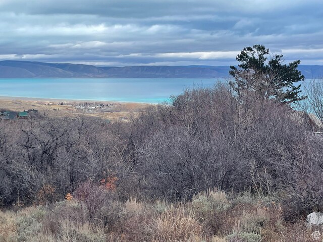 256 Juniper Dr Unit 488/89, Fish Haven, ID 83287