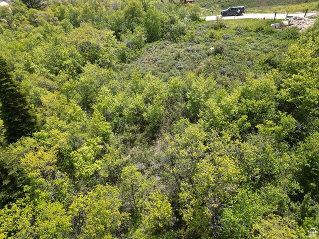256 Juniper Dr Unit 488/89, Fish Haven, ID 83287