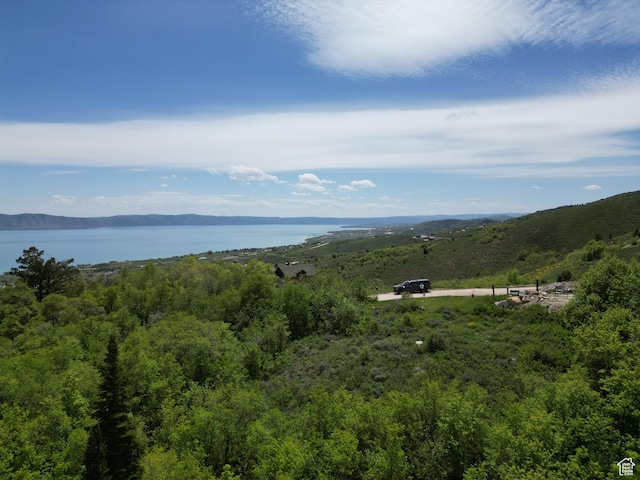 256 Juniper Dr Unit 488/89, Fish Haven, ID 83287