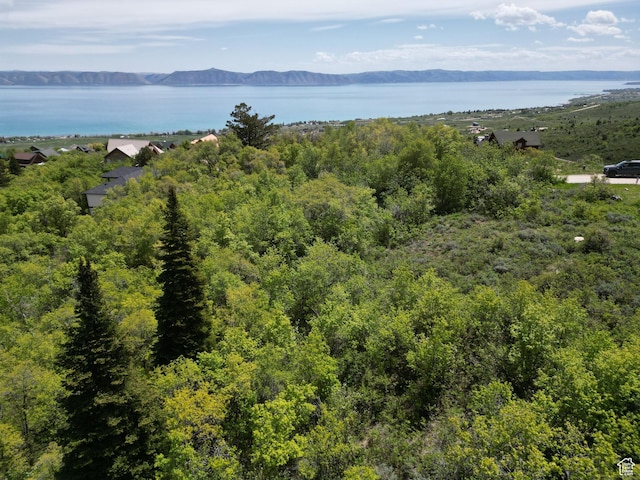 256 Juniper Dr Unit 488/89, Fish Haven, ID 83287