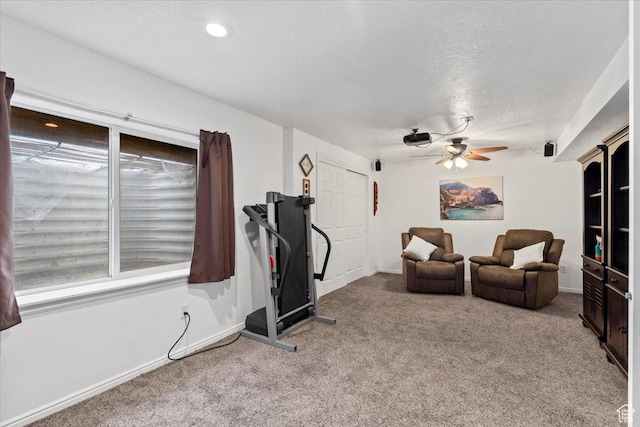 1298 S 1410 E, Provo, UT 84606 - workout area with carpet flooring, a ceiling fan, a textured ceiling, baseboards, and recessed lighting