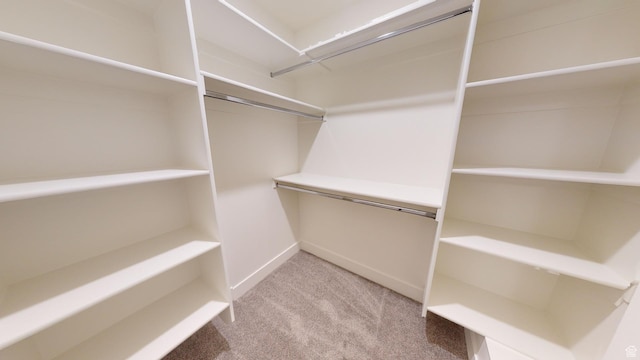 920 S 25 E # 18E, Cedar City, UT 84720 - walk in closet with carpet floors