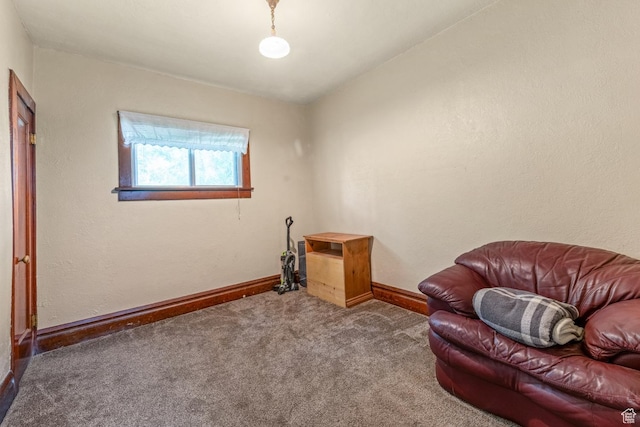 212 E 100 S, Payson, UT 84651 - living area with carpet floors and baseboards