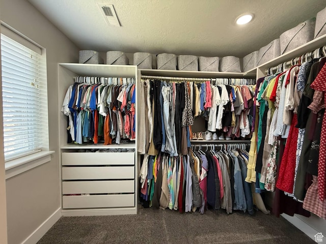walk in closet featuring carpet flooring