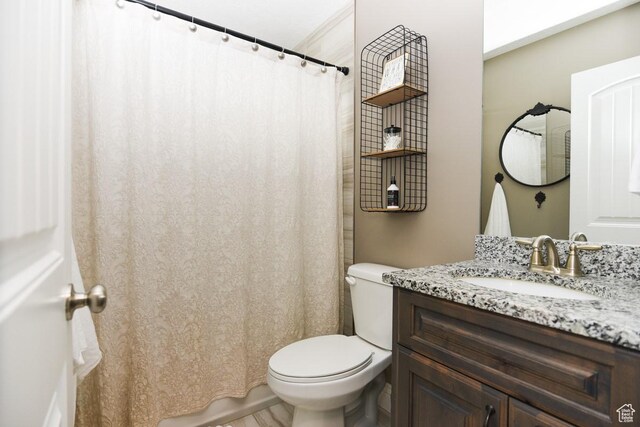bathroom featuring toilet, vanity, and curtained shower