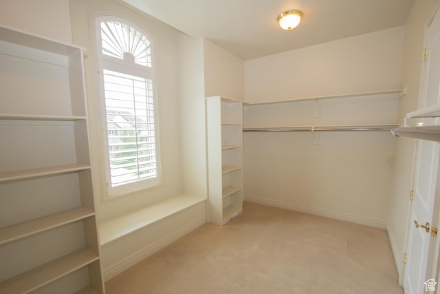 1315 E 1550 N, North Logan, UT 84341 - walk in closet with carpet flooring
