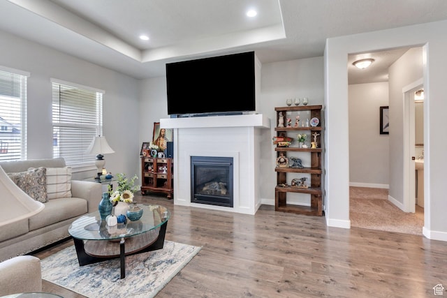 701 S Crooket Post Way W, Saratoga Springs, UT 84045 - living area with a glass covered fireplace, wood finished floors, a raised ceiling, baseboards, and recessed lighting