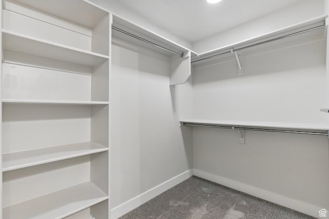 walk in closet featuring dark carpet