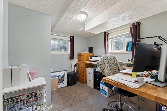 office space featuring a textured ceiling and light carpet
