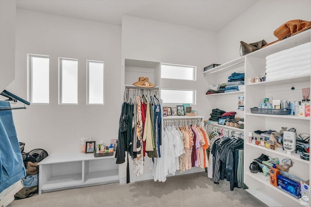 2938 S Poplar Ln, St George, UT 84790 - spacious closet with carpet floors